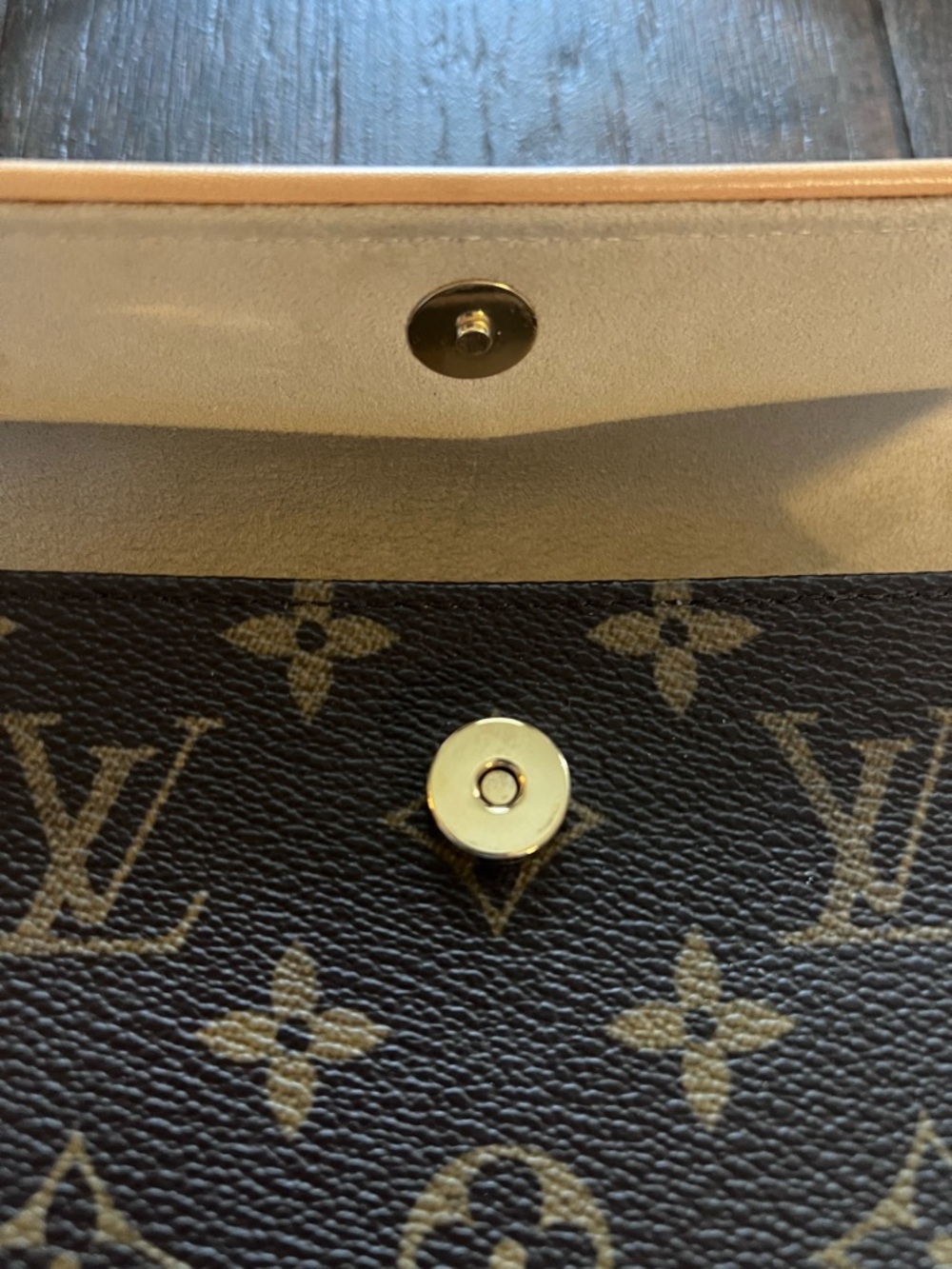 Louis Vuitton Monogram Canvas Florentine Belt Bag - Picture 8 of 15